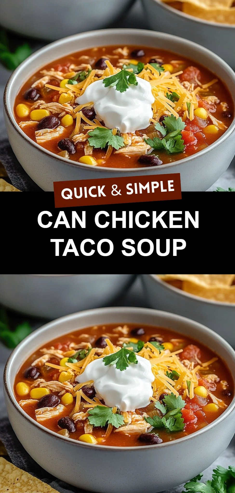Can Chicken Taco Soup