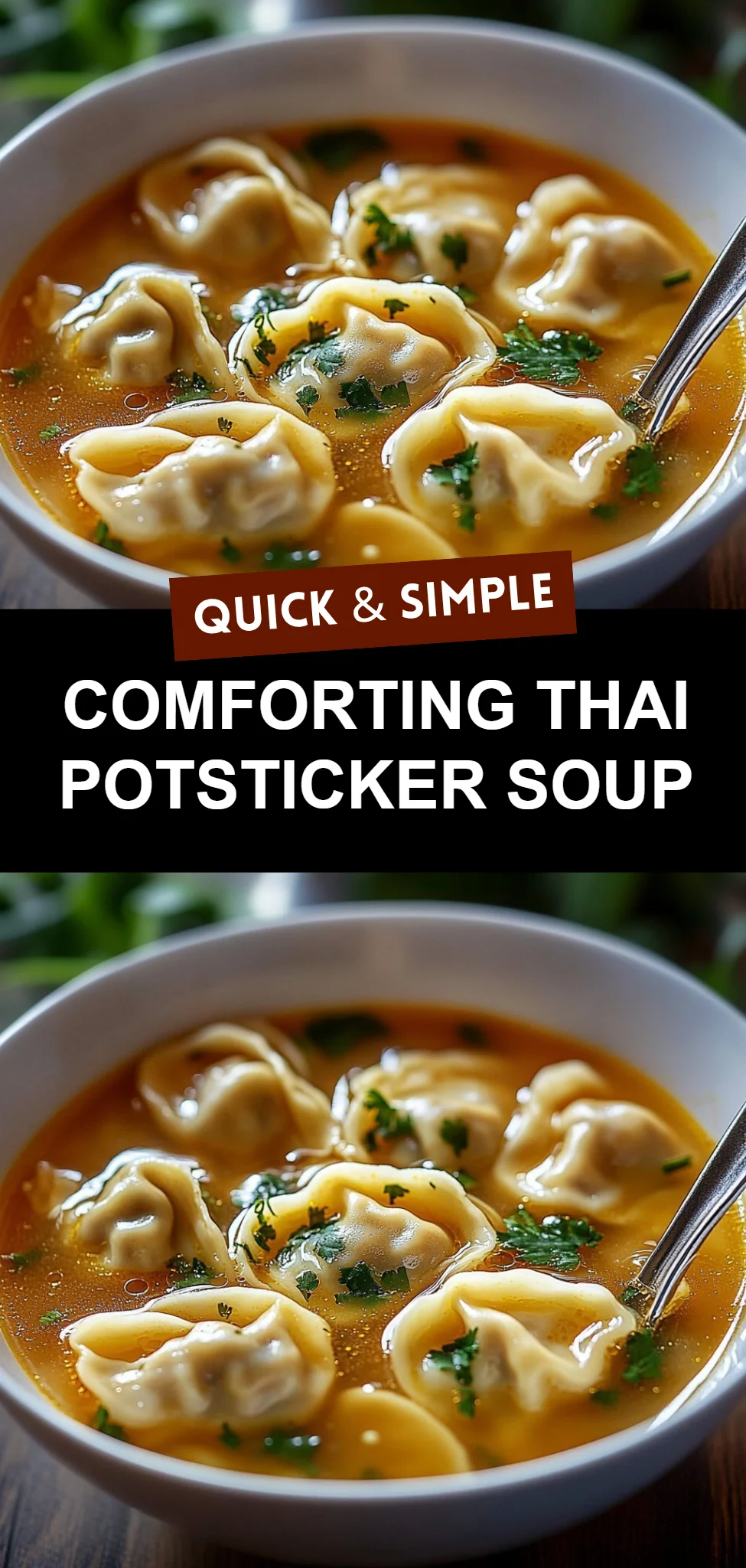 Comforting Thai Potsticker Soup