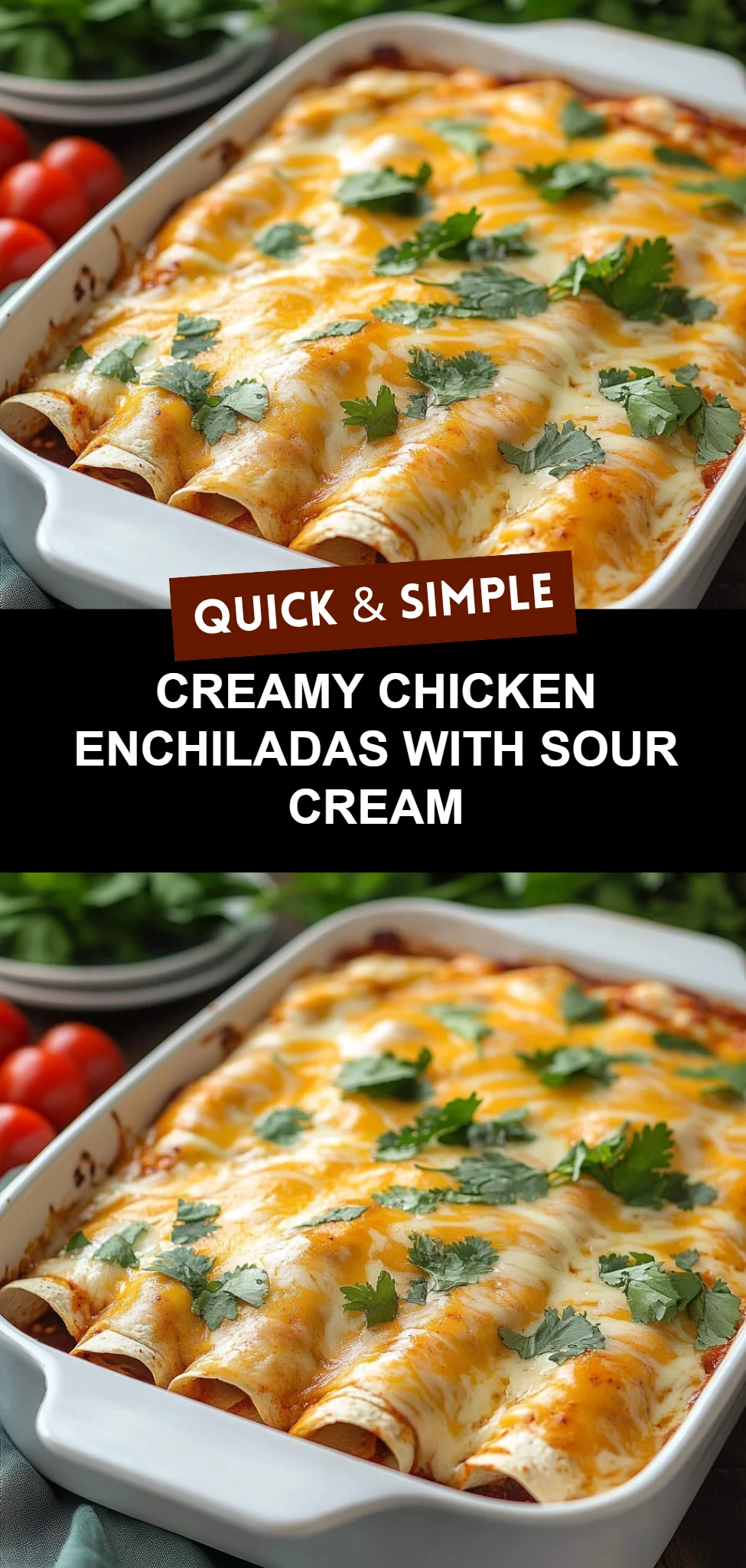 Creamy Chicken Enchiladas with Sour Cream